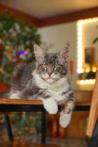 Ninh Binh Kongs Homestay