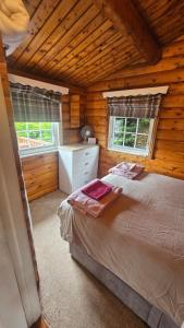 Cosy 2 bedroom Log Cabin in Snowdonia Cabin151