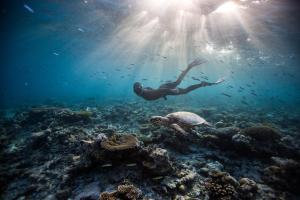 Mudhdhoo Island, Baa Atoll, Maldives.