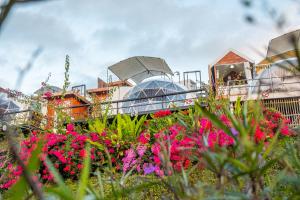 หยดฝน โฮมสเตย์