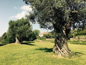 Swimming Pool Bedroom at Casa dos Macieis, Camino Santiago direct access & Optional Agritourism