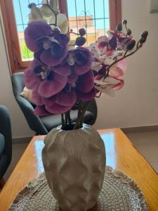 Costanest modern and sunny 360 degrees