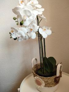 Costanest modern and sunny 360 degrees