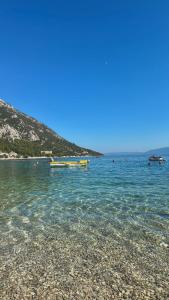 Olive & Wave Apartments- one minute to the beach