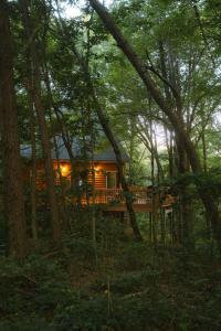 Cheerful Two Bdrm Cabin with Hot Tub & Pet Friendly