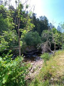 Charming 55m near hiking trails