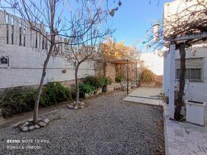 El Colibrí de centro1