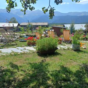 Guest House Old Omalo