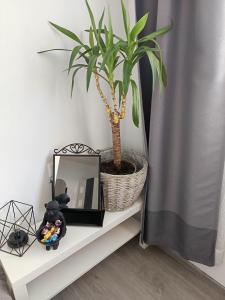 Apartments Milka