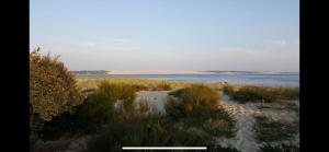 Maisons de vacances Maisonnette : photos des chambres