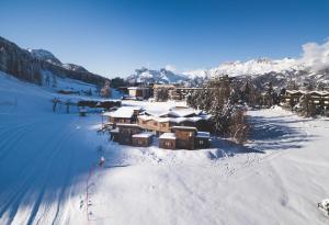 Hotels Le Loup Blanc : photos des chambres