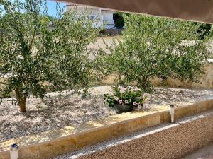 Chez Michi Top Floor