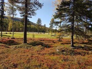 Levin Ykköspaikka A8