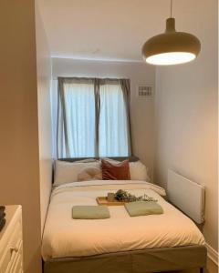 Central Dublin 1 Bedroom and Double Sofa Bed near Guinness Storehouse