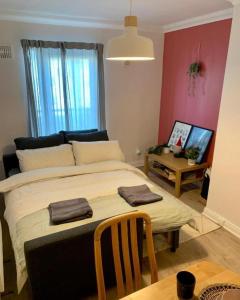 Central Dublin 1 Bedroom and Double Sofa Bed near Guinness Storehouse