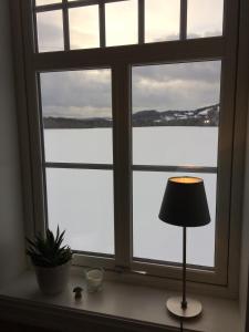 Gårdsleilighet