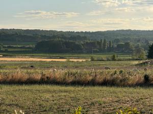 Maisons de vacances Le mas : photos des chambres