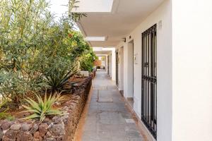 Tenerife Surf & Sun Bungalow in Las Americas