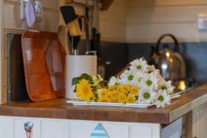 Pod1 - Powys River Pods - Pet Friendly Glamping Pod Builth Wells Powys Wales