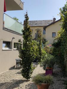 Appartements ESCALE 52 VACANCES ET CURES 4 personnes : photos des chambres