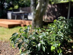 An Teach Bán, homely townhouse