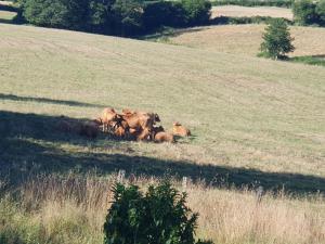 B&B / Chambres d'hotes au grain de folie : photos des chambres
