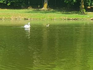 B&B / Chambres d'hotes au grain de folie : photos des chambres