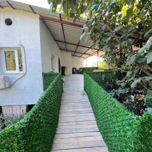 villa hidden paradise garden apart & hostel