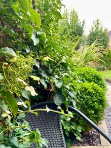 River walk . Shrewsbury.Shropshire.With parking.