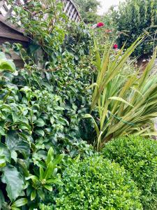 River walk . Shrewsbury.Shropshire.With parking.