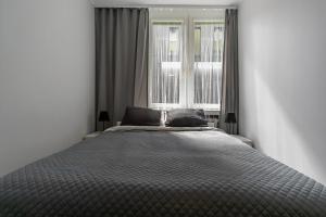 Modern Apartment in the city center