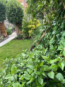 River walk . Shrewsbury.Shropshire.With parking.