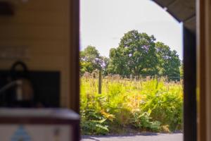 Pod3 - Powys River Pods - Pet Friendly Glamping Pod Builth Wells Powys Wales