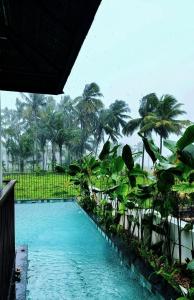 Theeram - Whispers of the River