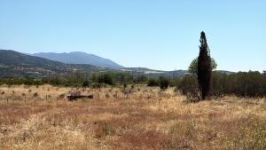 Private Parking for Cars, Vans, Campers, Bus, RV, Trailer & Caravan with Easy Access to Expressway & Main Road - Quiet Location with Mountain Views, Near the Beach, with 2 Lose Guard Dogs, No Water or Electric, No Shower or Toilet - Self Check-in