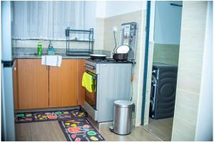 Ruaka View Apartments- cozy 2 bedroom