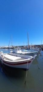 Entre mer azur et collines boisées