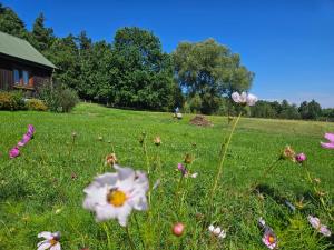 Świętokrzyska Chata Biegacza - dom przy szlaku