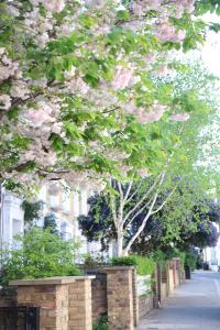The Chic Retreat