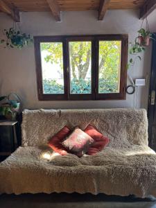 Shelter Patagonia Hostal