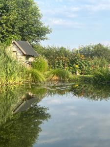 Życie- Roztocze Domek ze stawem i rzeką