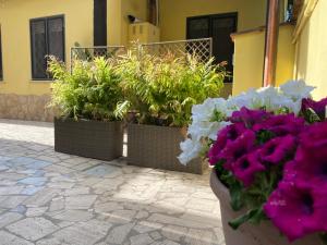 Corte Prini Fiumicino