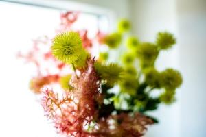 Novi stan 2 spavaće 2 balkona samo 200 m od plaža