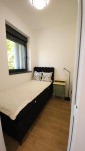 Don apartment Dorcol