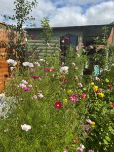 Newly built studio apartment