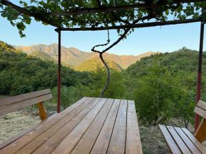 ORAHOVSTICA TRAIL - Glamping