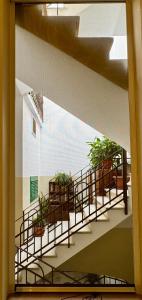 Apulian Green Leaves House