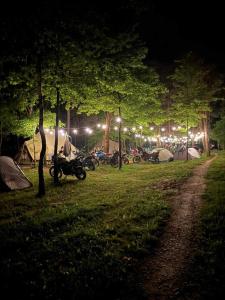 Leśne zacisze-pole namiotowe