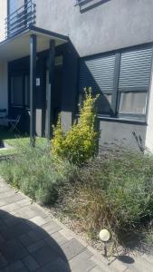 Dream Summer House Fonyód