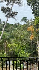 Refúgio na Floresta